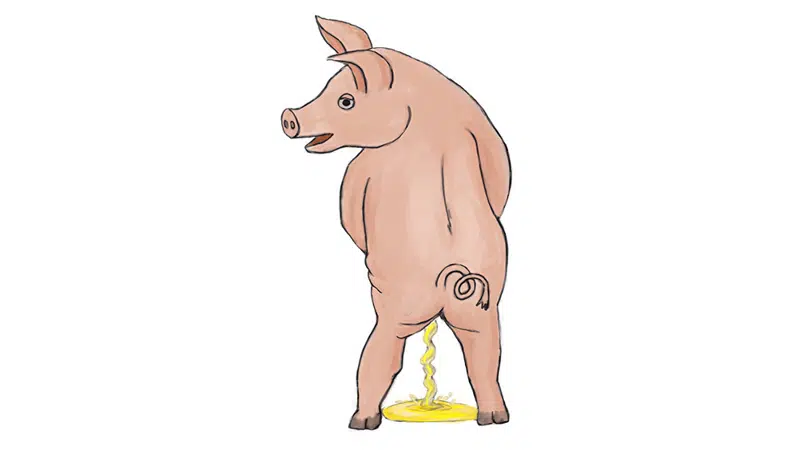 Tegning, der uformelt viser en gris, der står og tisser
